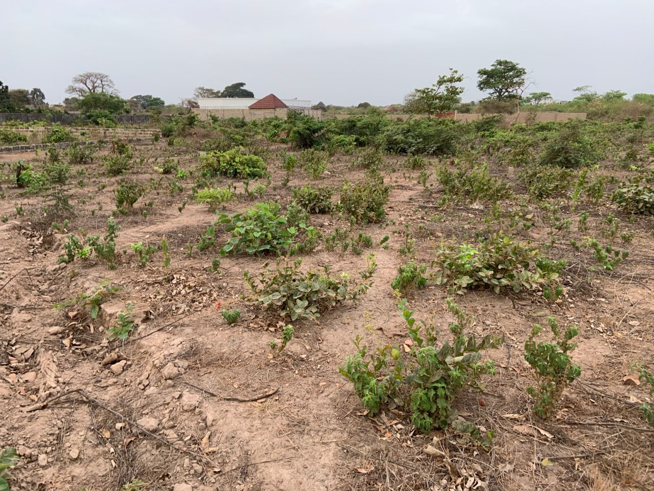 Land for Sale In Tujureng Seaside - Image 3