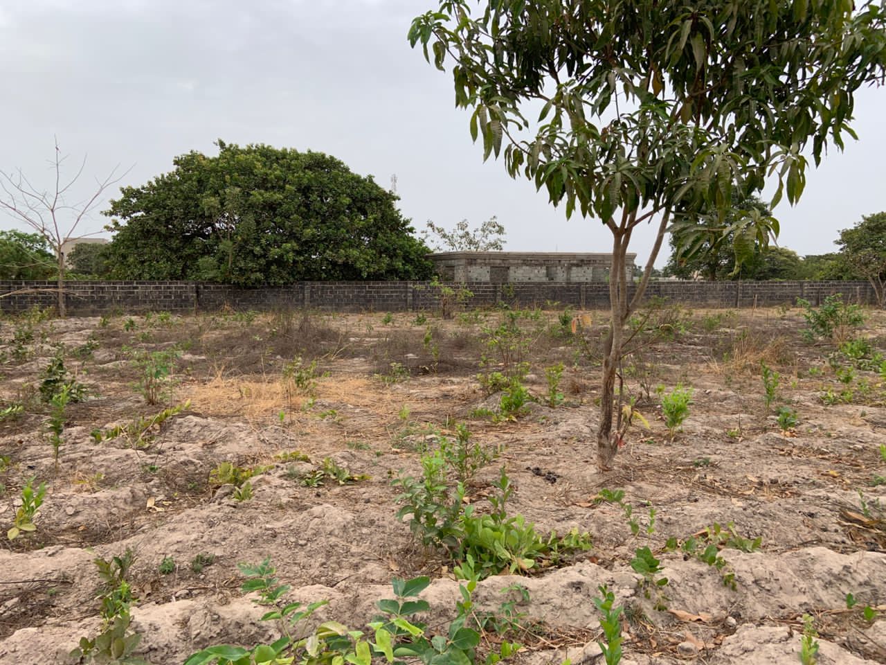 Plot for sale, Brufut Madiana - Image 2