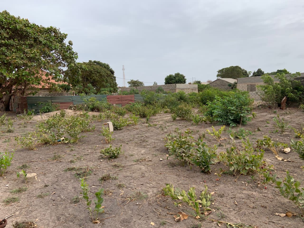 Plot for sale, Brufut Madiana - Image 4