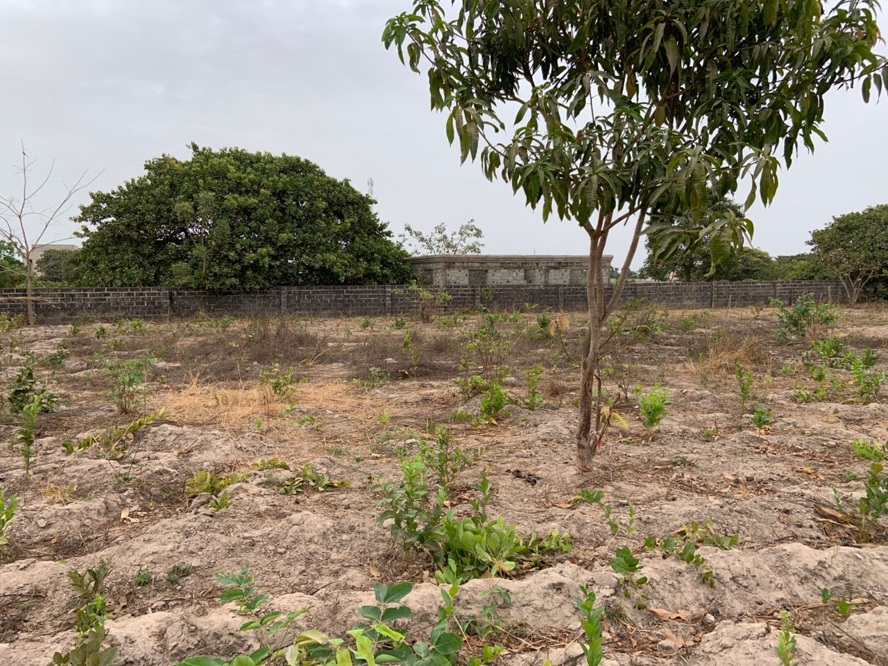 Plot for sale, Brufut Madiana - Image 3